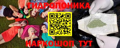 прущие грибы Комсомольск-на-Амуре