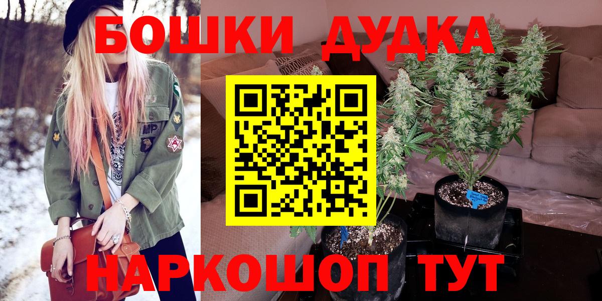 Конопля Amnesia Коломна